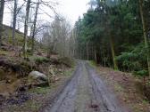  Blick auf die Wandersrecke bergan zum Gehft mit der letzten K+L