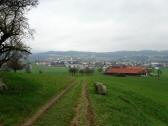  Fernblick nach Freistadt beim Fleischhof 