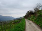  Blick auf die Wanderstrecke 