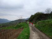  Blick auf die Wanderstrecke 