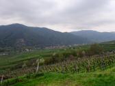  Fernblick nach Joching und Wsendorf in der Wachau 