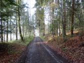  Blick auf die Wanderstrecke auf dem Seiber 