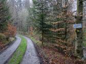  Blick auf die Wanderstrecke beim Kuhberg 