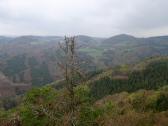  Fernblick von der Gruberwarte zum Mosinggraben 