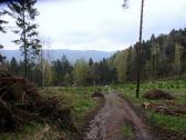  Blick auf die Wanderstrecke bergab vom Geiberg 