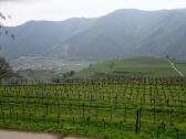 Fernblick ins Donautal nach Wsendorf in der Wachau