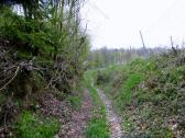  Blick auf die Wanderstrecke entlang der Weingrten 