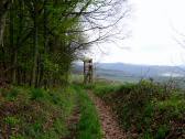  Blick auf die Wanderstrecke entlang der Weingrten 