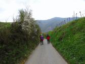 Wanderroute durch die Ried Pichl nach Weienkirchen 