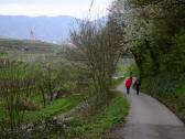 Wanderroute durch die Ried Pichl nach Weienkirchen 
