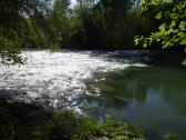  Impression von der Ybbs 