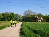  Blick auf die Wanderroute nach Hubertendorf 