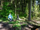  Blick auf die Wanderstrecke 