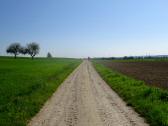  Blick auf die ebene Wanderstrecke 