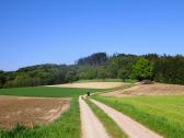  Blick auf die Wanderstrecke 