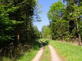  Blick auf die Wanderstrecke 