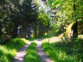  Blick auf die Wanderstrecke 