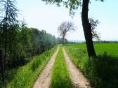  Blick auf die Wanderstrecke 