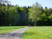 Blick auf die Wanderstrecke in der Nhe von Schn