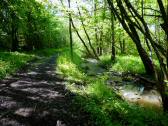  Wanderweg entlang des Grblerbachs 