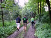  Wanderstrecke im Wald auf dem Kronberg 