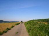 Blick auf die Wanderstrecke in der Nhe von Totzenbach