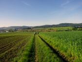  Wanderroute nach Sichelbach 