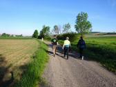  Wanderroute nach Sichelbach 