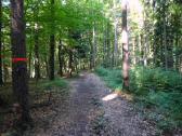  Blick auf die Wanderstrecke auf dem Eichberg 