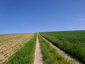  Wanderweg bergan in den "Himmel" 