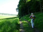 Blick auf die Wanderstrecke am Rande des Plattenbergs