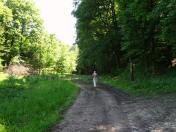  Blick auf die Wanderstrecke am Kollersberg 