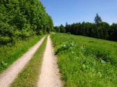  Wanderrstrecke auf dem Schildberg 