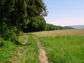  Wanderrstrecke auf dem Schildberg 