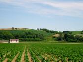  Fernblick zur Andreas-Warte am Halterberg 