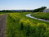 Wanderroute entlang der Perschling nach Untergrafendorf 