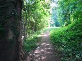 Wanderroute durch den Schlosspark von Neutenstein in Untergrafendorf 