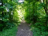 Wanderroute durch den Schlosspark von Neutenstein in Untergrafendorf 