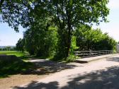 Blick auf die Wanderstrecke bei der Perschlingbrcke bei Weisching 