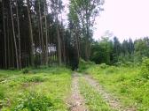  Wanderroute durch den Wald des Pfaffenberg 