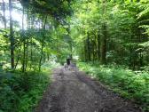  Wanderroute durch den Wald des Pfaffenberg 