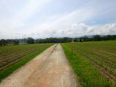  Wanderroute zu dem Weiler Unteretzerstetten 