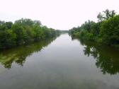  Blick vom Steg auf die Traisen flussabwrts 