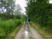  Wanderroute entlang der Traisen am rechten Ufer 