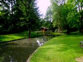  idyllische Fischteiche in der Traisenau 