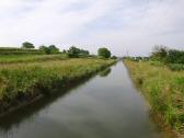  Blick auf den Traisenkanal (Mhlgraben) in Eind 