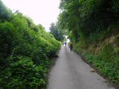  Wanderroute leicht bergan auf den Hhnerbhel 