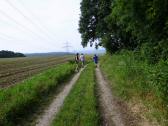  Blick auf die Wanderstrecke auf der Anhhe 