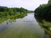  Blick vom Steg auf die Traisen flussabwrts 