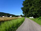  Blick auf die Wanderstrecke bei Lingheim 